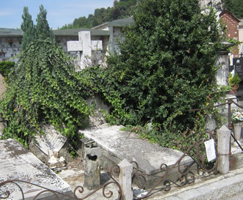 Comunicazione Avvio del Procedimento di decadenza tombe di famiglia nel Cimitero di Rocca d'Arazzo 